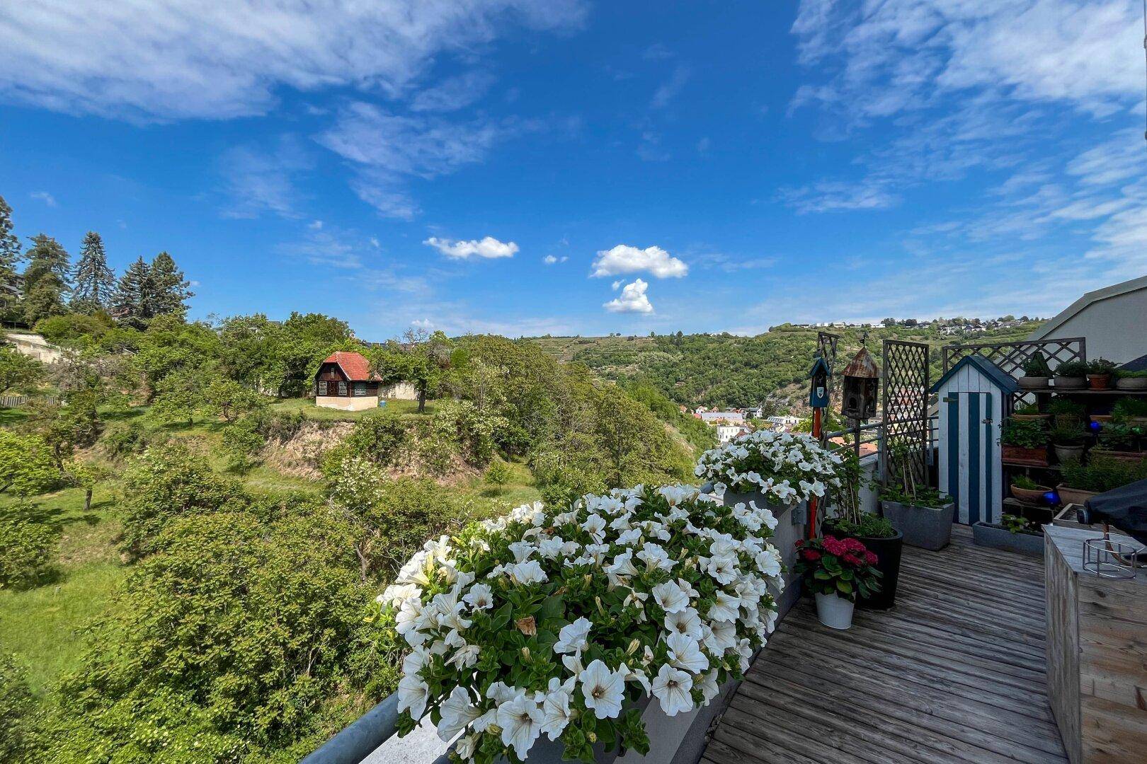 Terrasse mit Blumenkästen und weitem Blick über die grüne Hügellandschaft und ein kleines Haus.