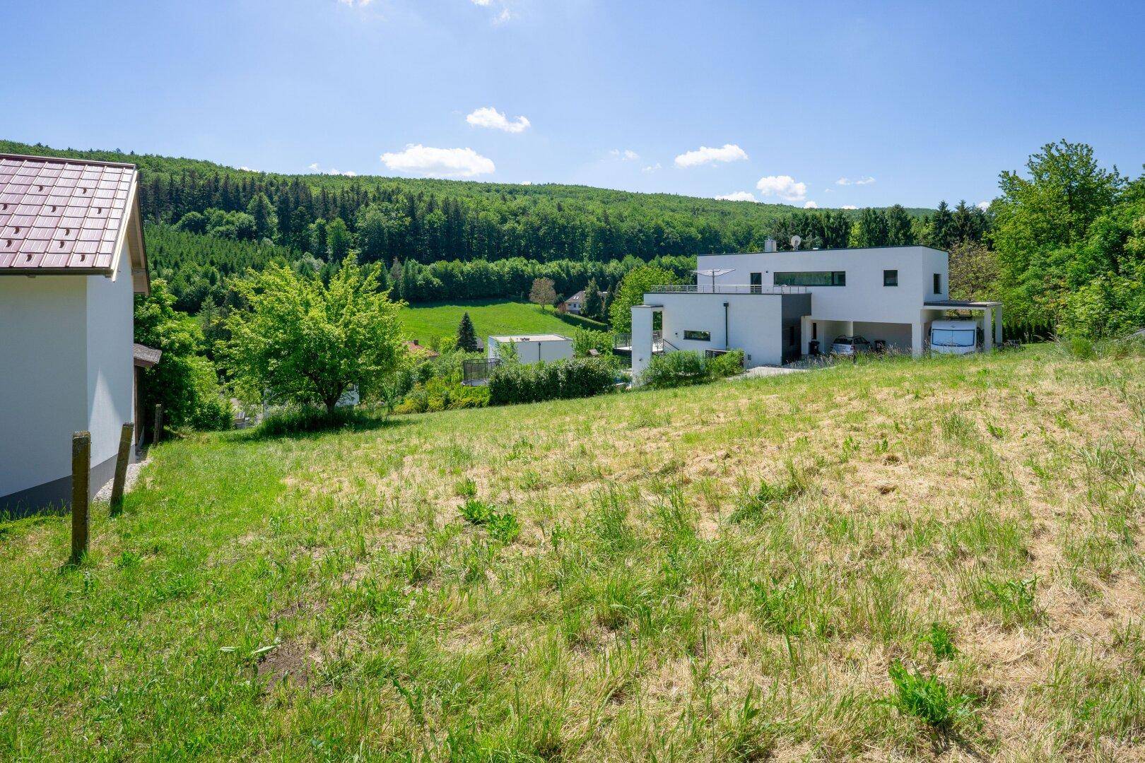 Pressbaum Kaiserbrunn – Großzügiges Baugrundstück in ruhiger Sonnenlage – pohled 4