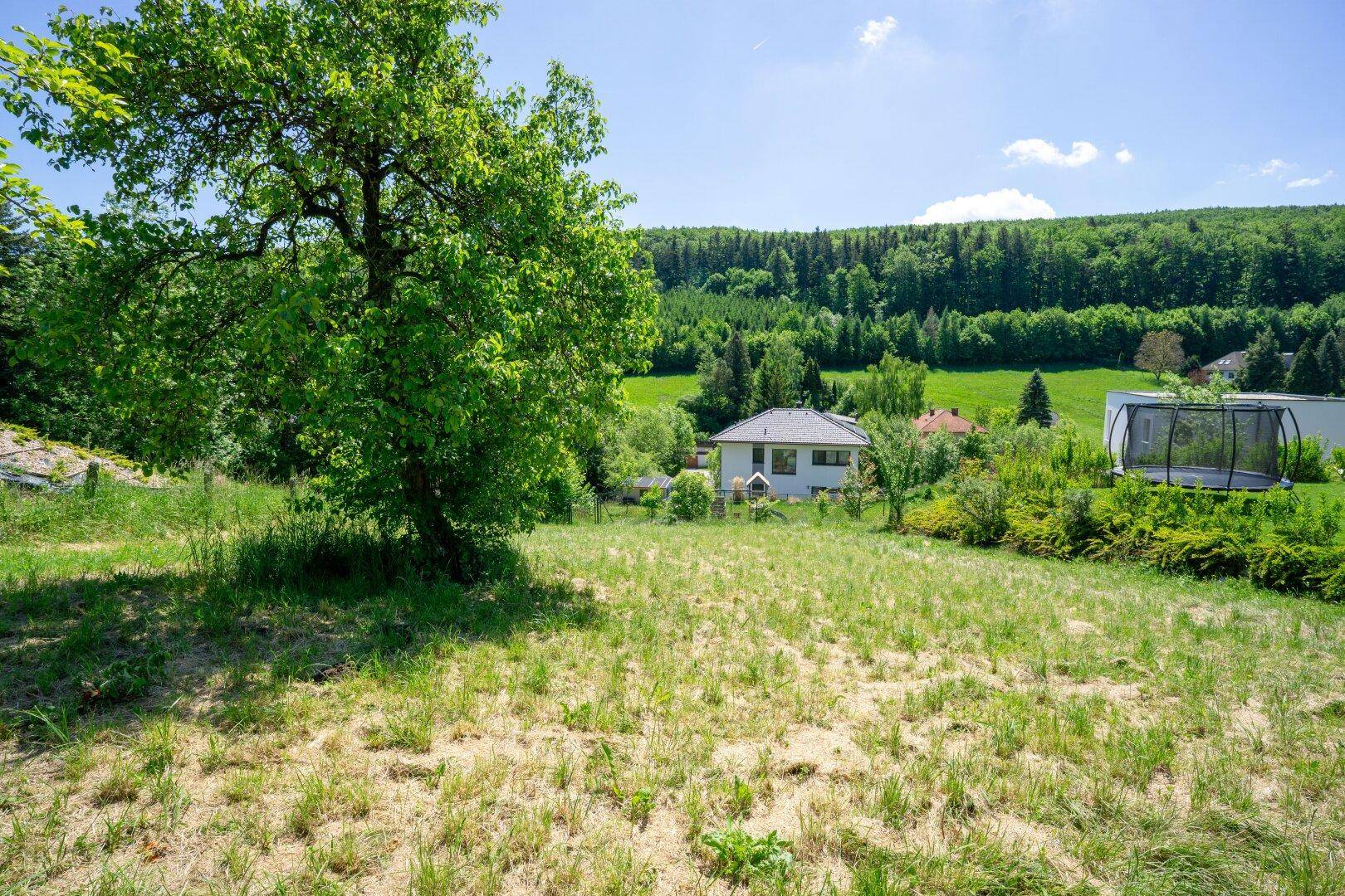 Pressbaum Kaiserbrunn – Großzügiges Baugrundstück in ruhiger Sonnenlage – pohled 5