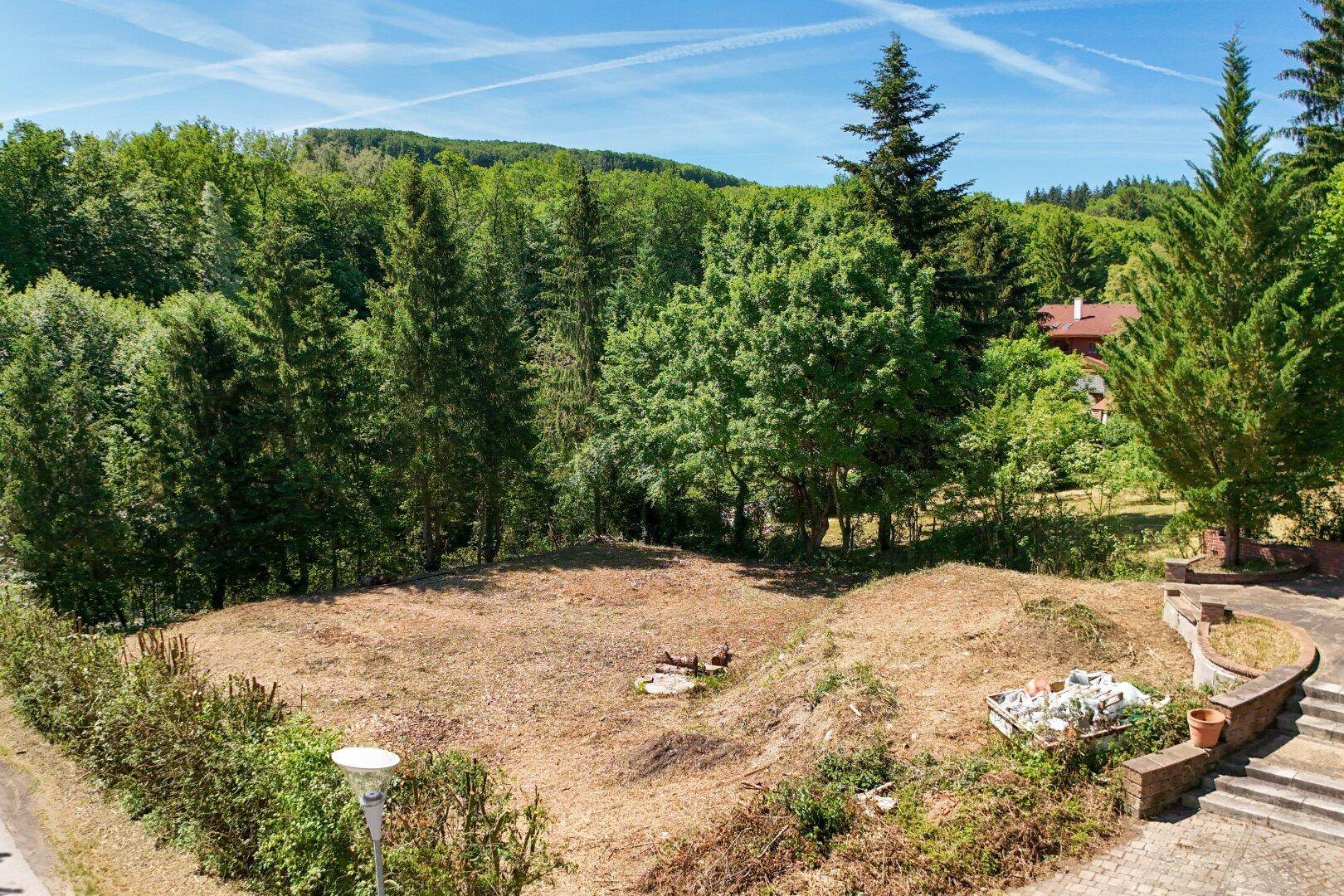 Südhang mit Althaus in bester Lage am Bartberg - Ansicht 3