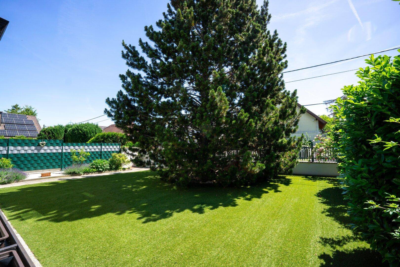 Ihr grünes Zuhause in Wien-Simmering – Wohlfühlen in der Gartensiedlung Neugebäude - Widok 4