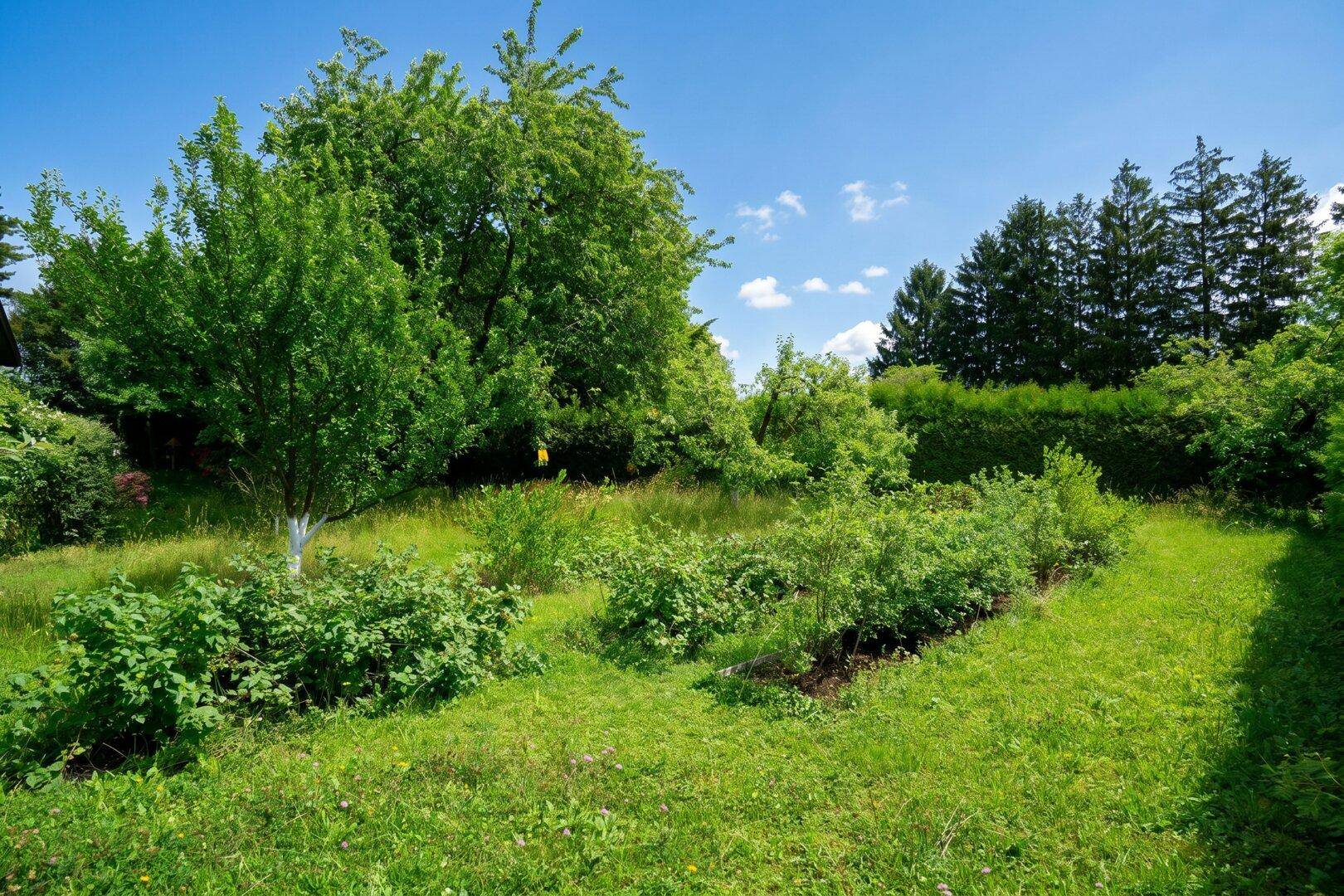Teilbare Liegenschaft in begehrter Lage am Kaiserspitz - Ansicht 3