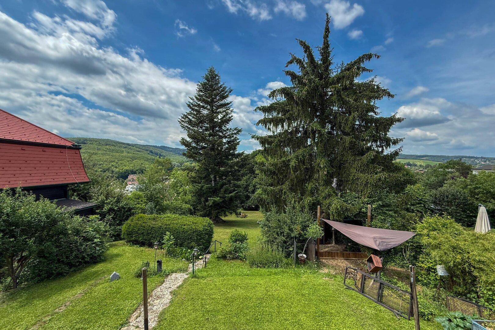 Weitläufiger Gartenbereich mit Rasen, hohen Bäumen und Panoramablick auf die grüne Umgebung.
