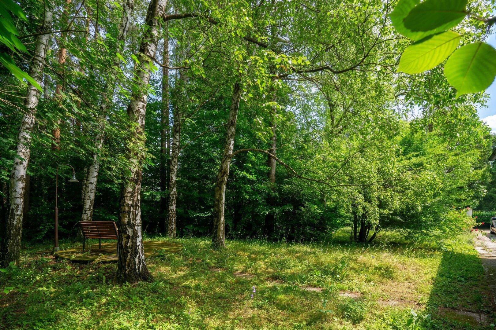 Ruhiger Gartenbereich mit schattenspendenden Bäumen und einer Holzbank zum Entspannen.