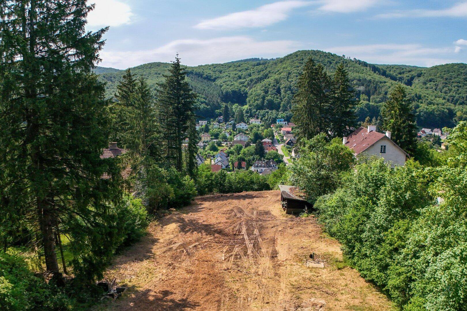 Blick von einem gerodeten Grundstück auf ein malerisches Dorf im Tal, umgeben von grünen Hügeln.