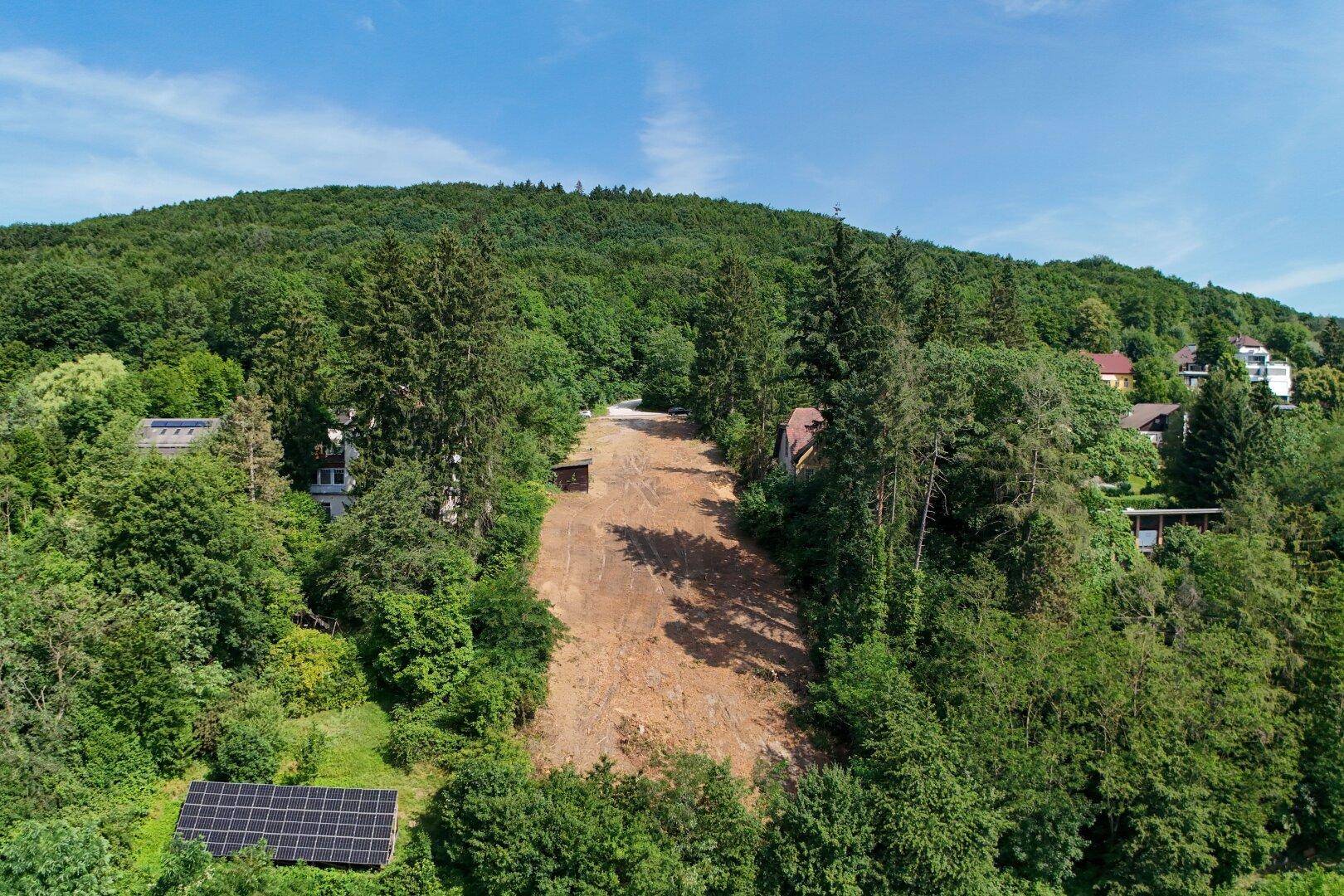 Luftaufnahme eines gerodeten Grundstücks, umgeben von dichtem Wald mit Solaranlage im Vordergrund.