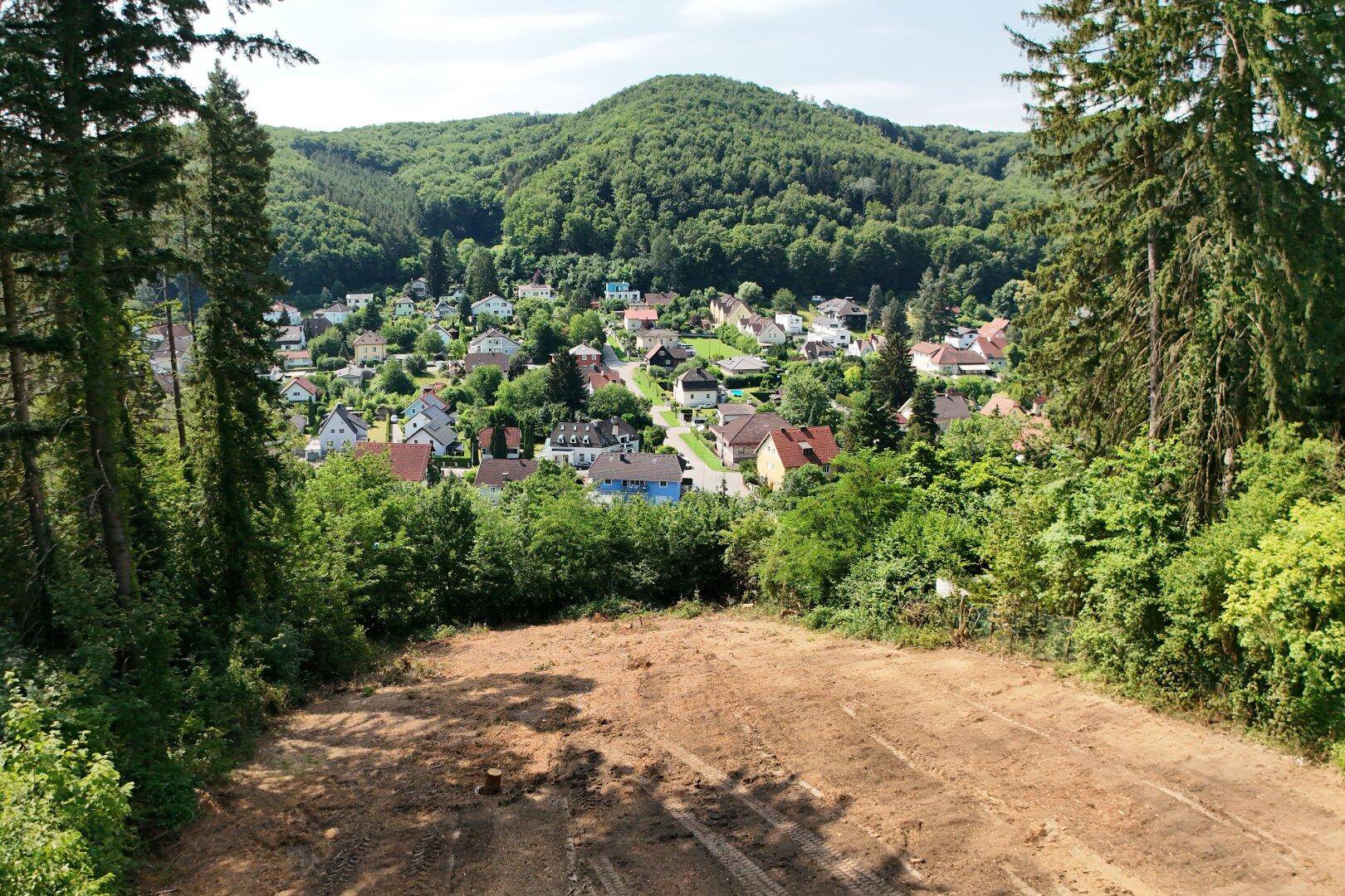 Panoramablick von einem gerodeten Grundstück auf das malerische Dorf und die bewaldete Hügellandschaft.