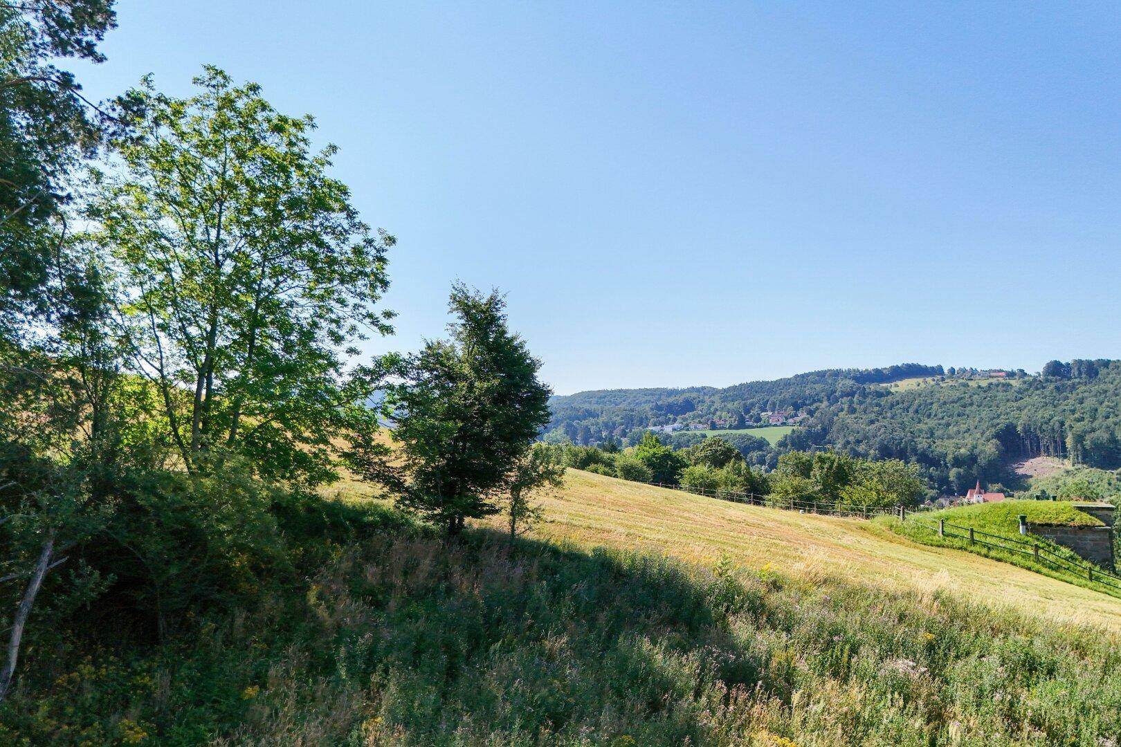Idyllischer Ausblick über sonnige Felder und bewaldete Hügel in einer ruhigen ländlichen Gegend.