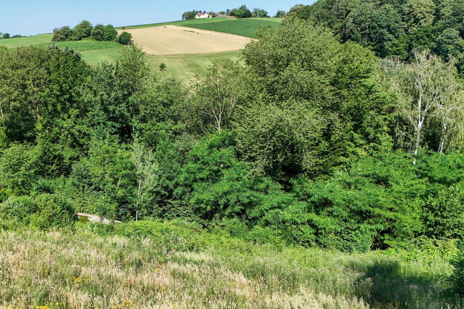 Baugrundstück in idyllischer Grünlage in Altlengbach unweit Ortskern - Ansicht 5