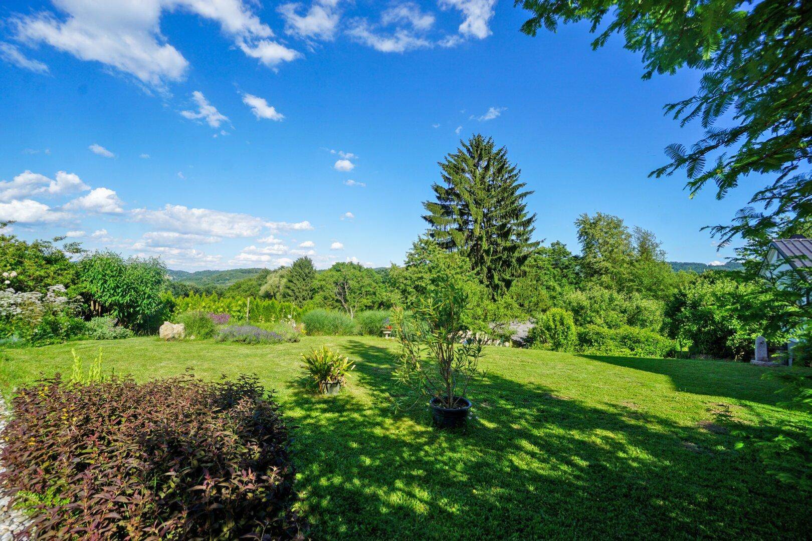 Weitläufiger, sonniger Garten mit großen Bäumen und einem idyllischen Blick auf die Natur.