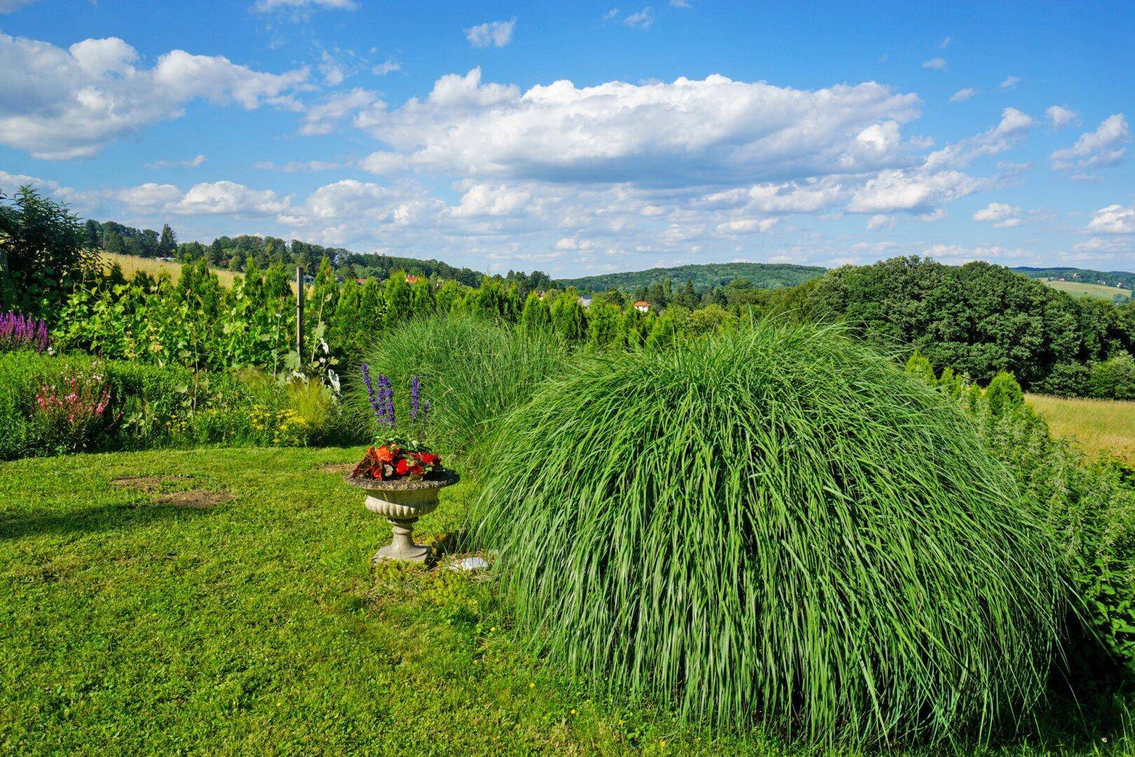 Detailaufnahme des blühenden Gartens mit üppiger Vegetation und weitem Landschaftsblick.