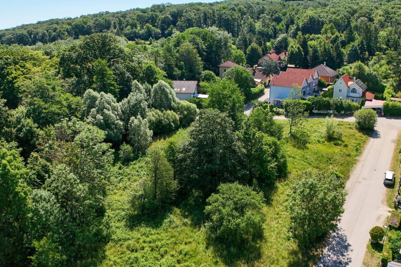 Übersicht über ein großes grünes Grundstück mit angrenzenden Wohnhäusern und viel Baumbestand.