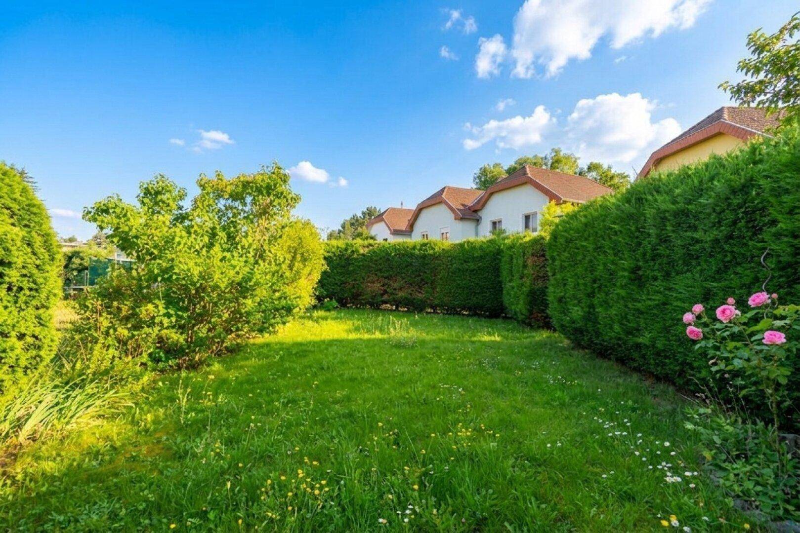 Weitläufiger Gartenbereich mit Rasenfläche und hohen Hecken, umgeben von weiteren Häusern.
