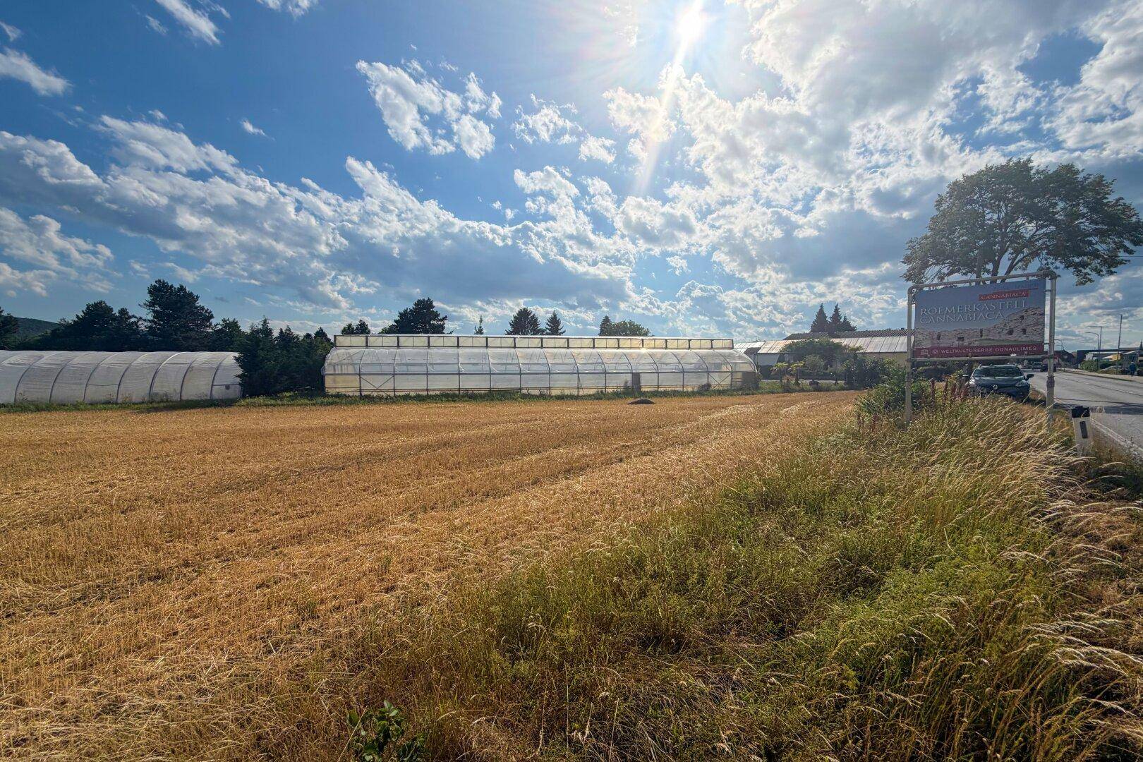 Feld mit mehreren großen Gewächshäusern und einer Werbetafel am Straßenrand unter sonnigem Himmel.