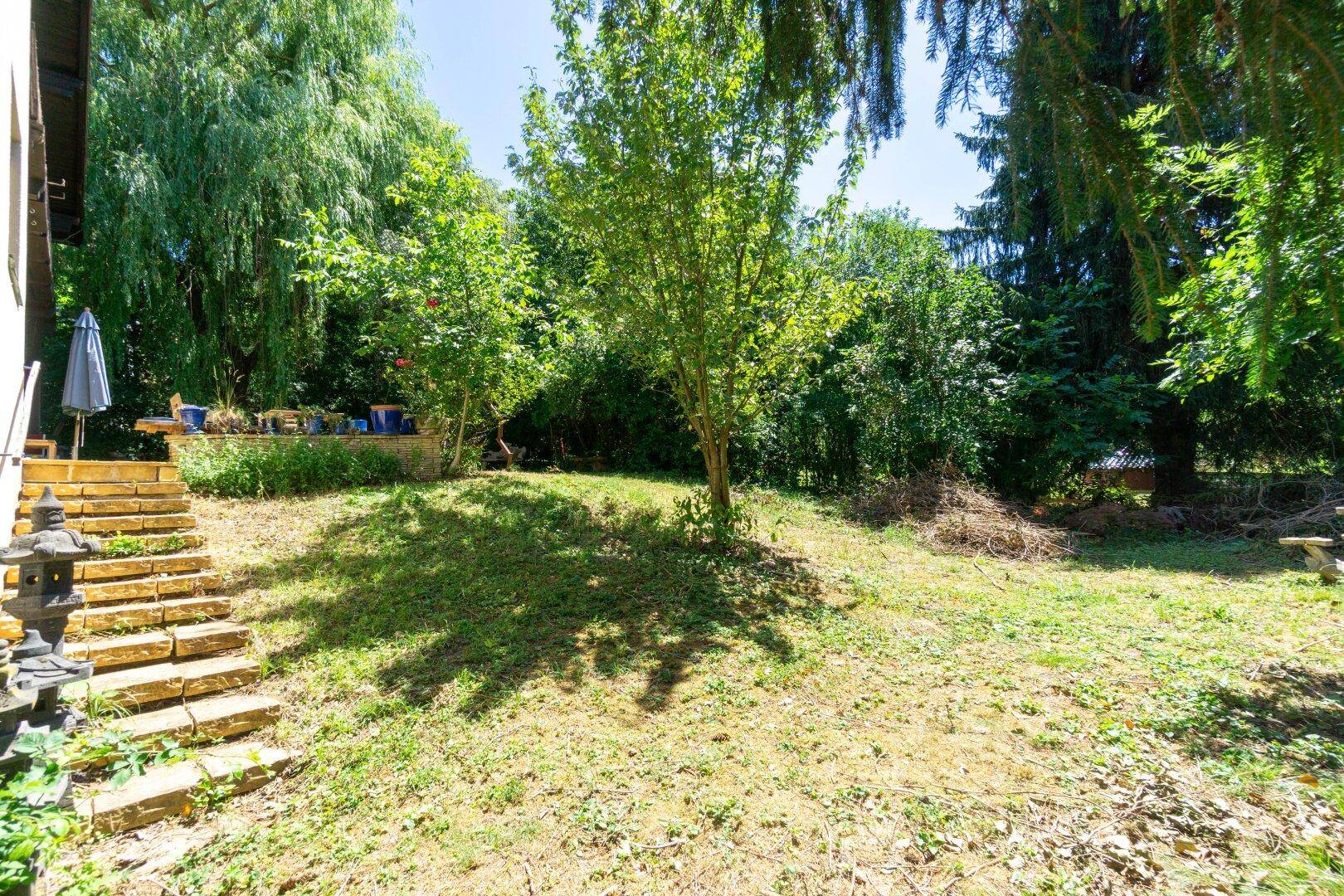 Naturbelassener Gartenbereich mit Rasenfläche und altem Baumbestand, ideal zum Entspannen im Freien.