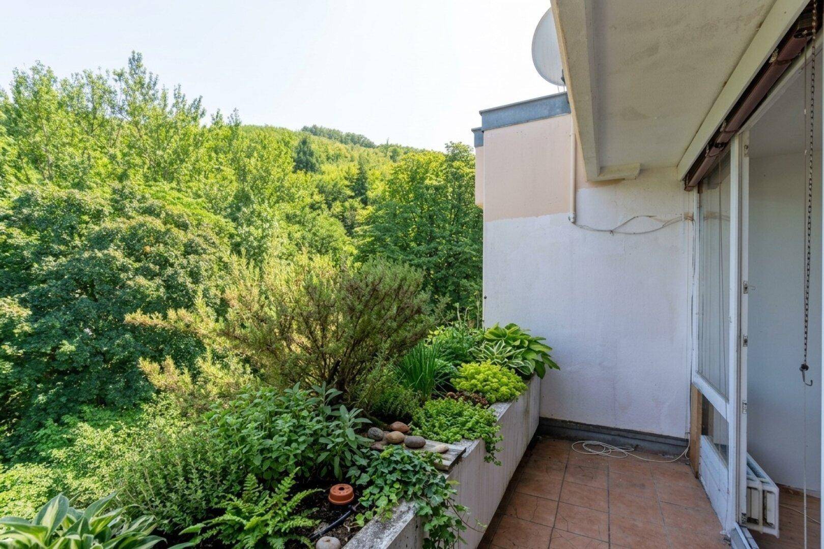 Balkon mit üppiger Bepflanzung und weitem Blick auf bewaldete Hügel.