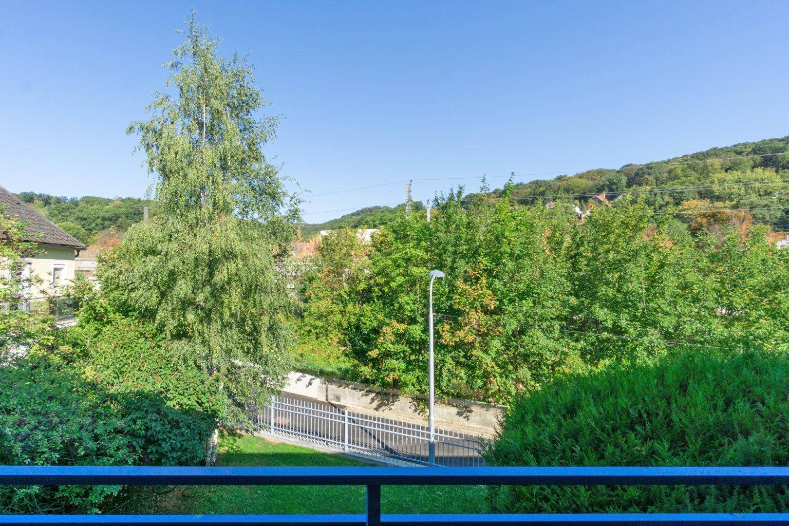 Weitläufiger Blick ins Grüne mit Bäumen und einem Zaun im Vordergrund unter blauem Himmel.