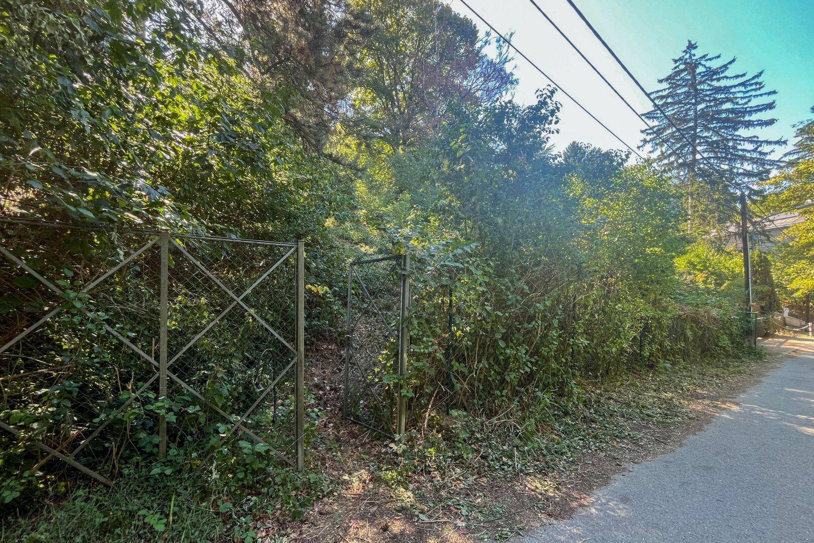 Verwachsenes Grundstück mit altem Zaun und viel Grün an einer Straße gelegen.