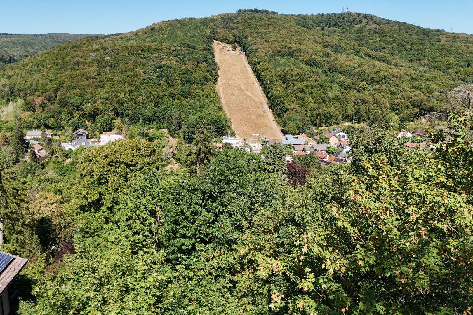 Panoramablick auf eine bewaldete Hügellandschaft mit einem Dorf im Tal.