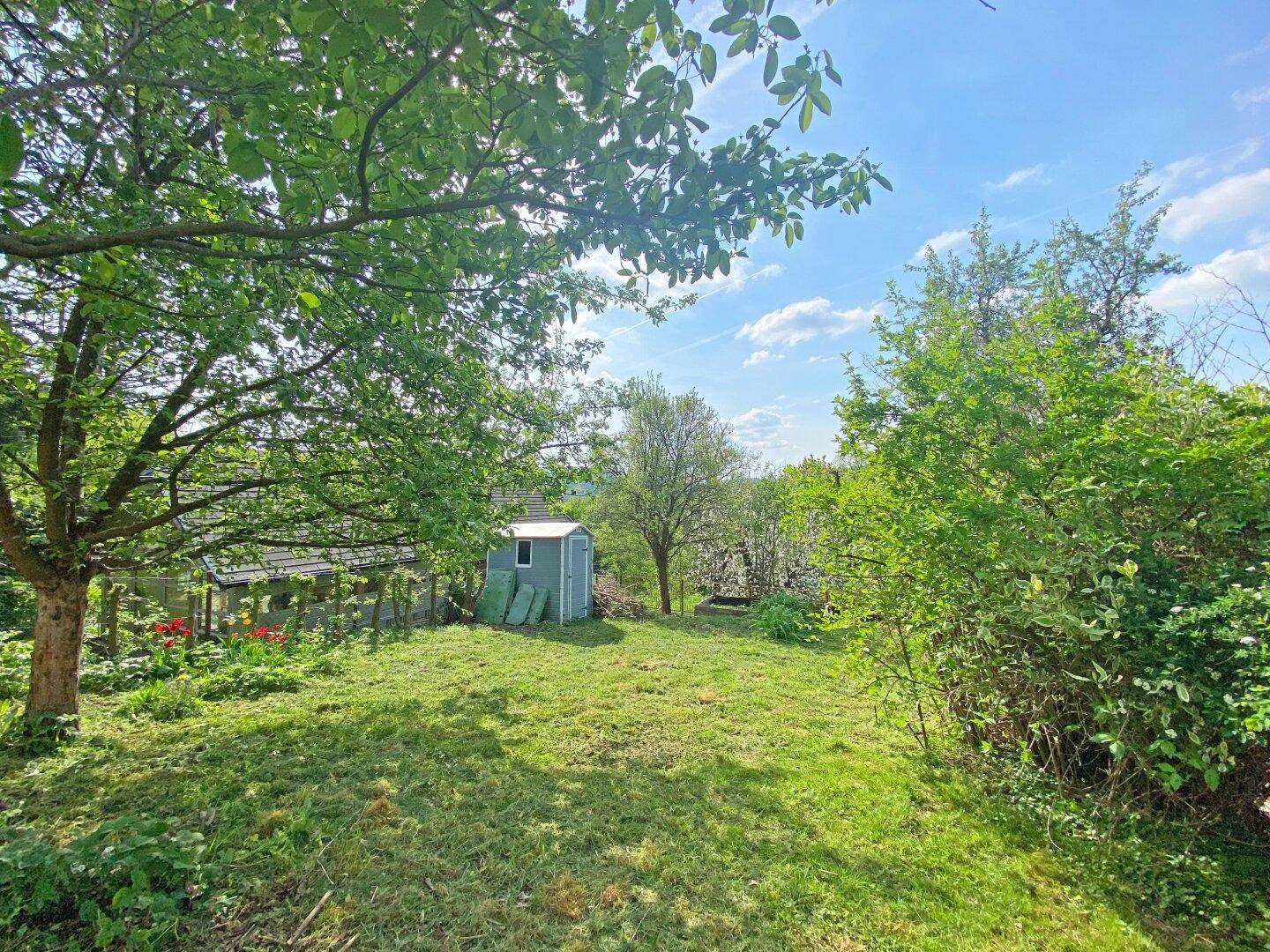 Weitläufiger Garten mit Rasenfläche, Bäumen und einem kleinen Schuppen im Hintergrund.
