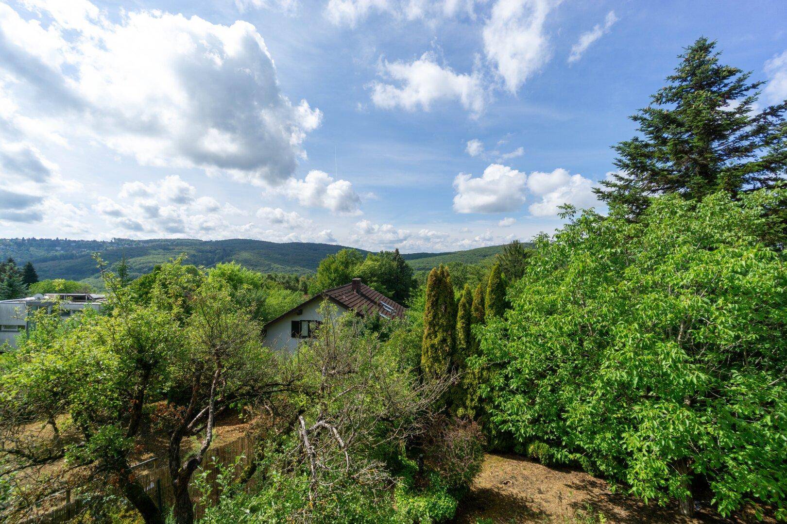 Ausblick vom Obergeschoß