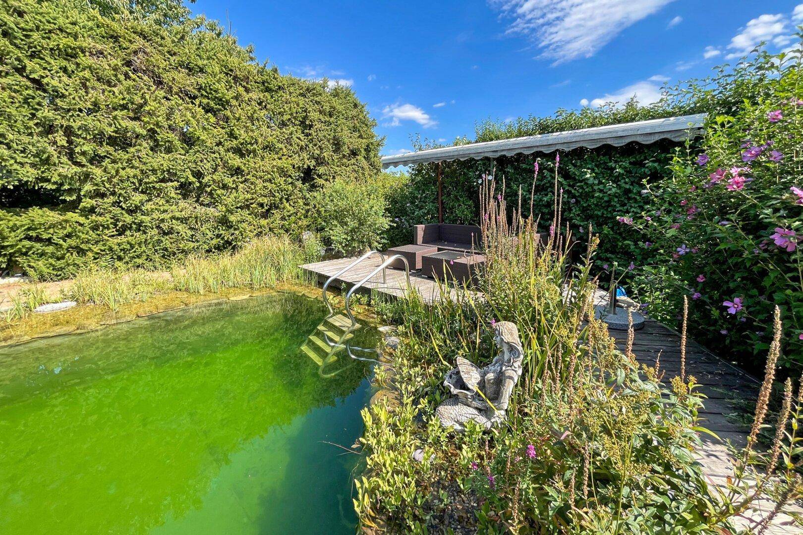 Entspannungsbereich am Naturschwimmteich mit Holzdeck und überdachter Sitzgelegenheit im Grünen.
