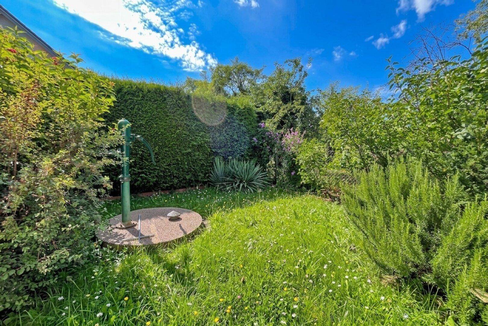 Gepflegter Gartenbereich mit Rasenfläche, Hecke und einem Wasserhahn für die Bewässerung.