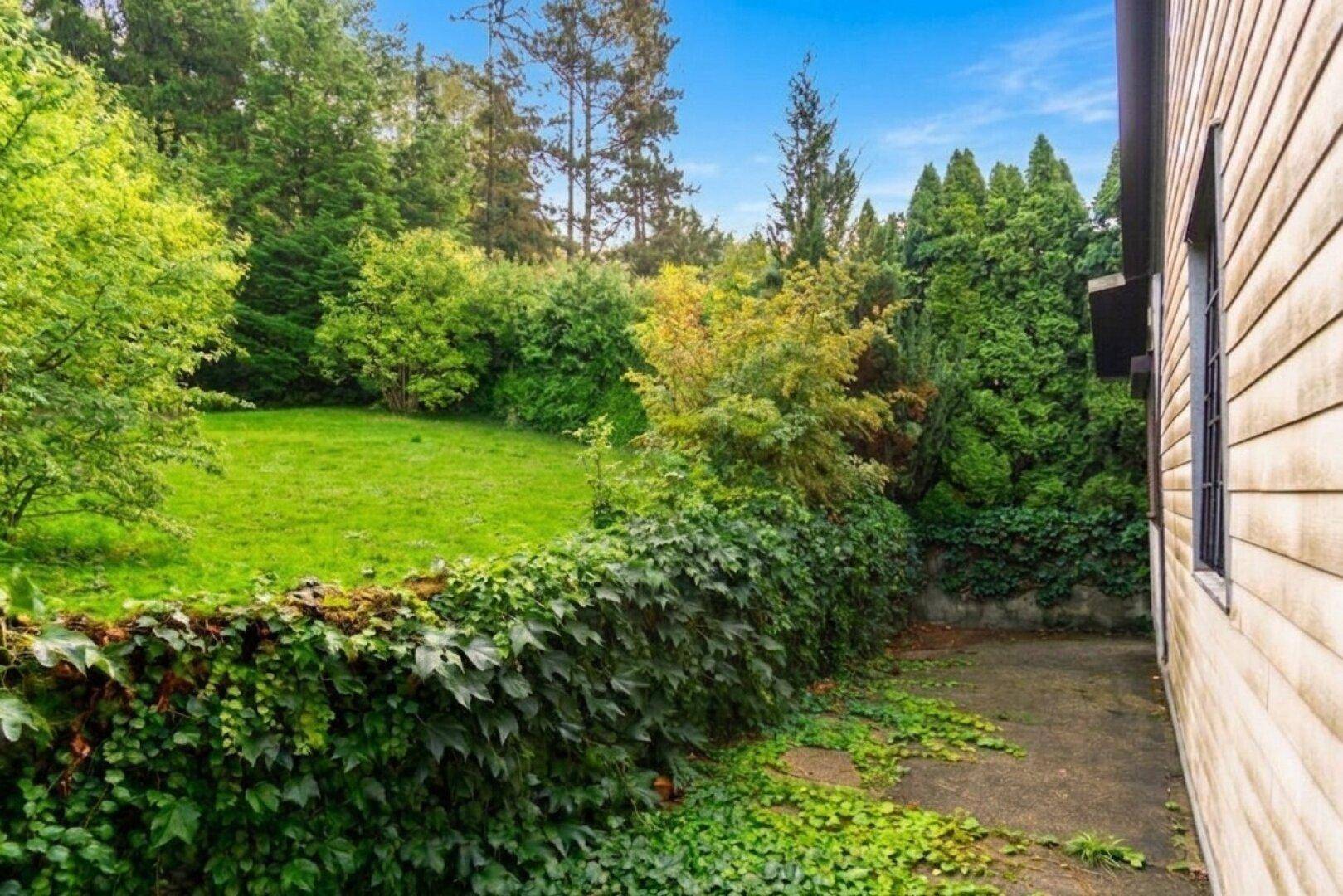 Seitlicher Gartenweg entlang einer mit Efeu bewachsenen Mauer, angrenzend an eine grüne Rasenfläche.