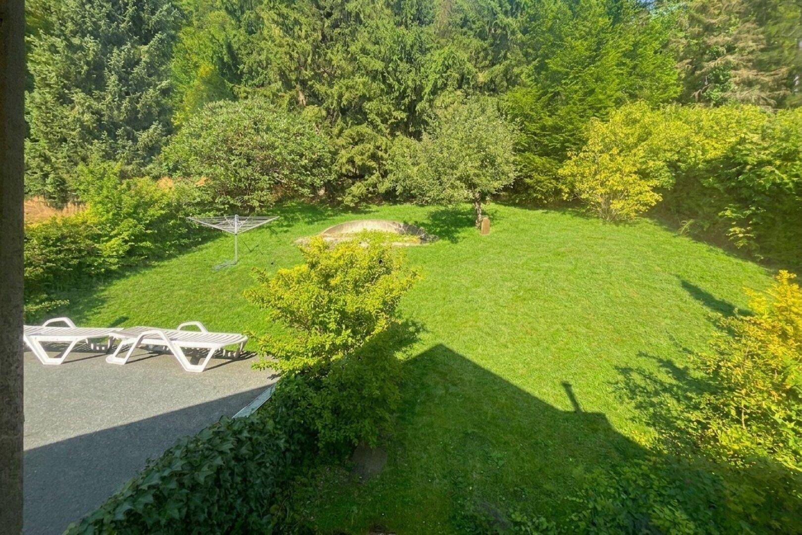 Große Rasenfläche im Garten mit Sonnenliegen und Wäscheständer, umgeben von Bäumen und Sträuchern.