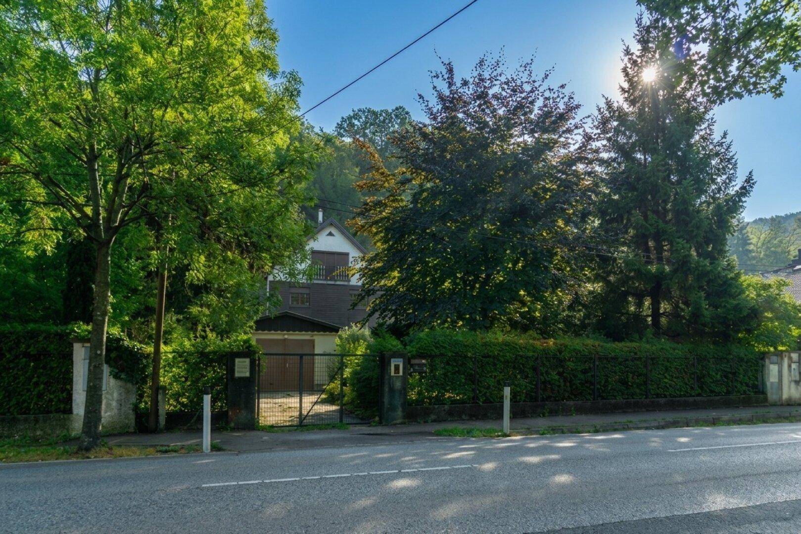 Eingangsbereich des Grundstücks von der Straße aus gesehen, mit Tor und dichter Heckenbepflanzung.
