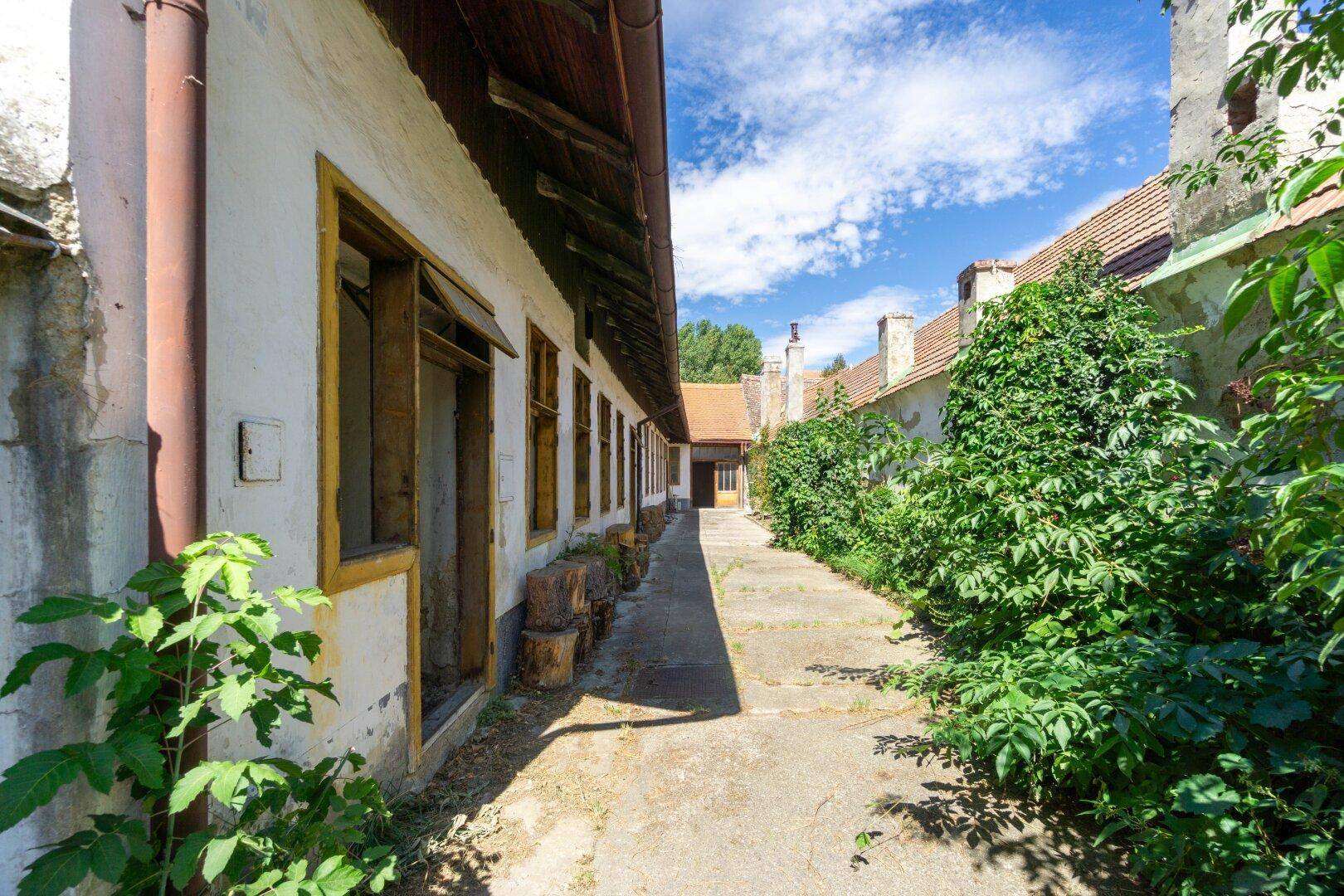 Schmaler Weg zwischen alten Gebäuden mit üppigem Grün und sonnigem Himmel.