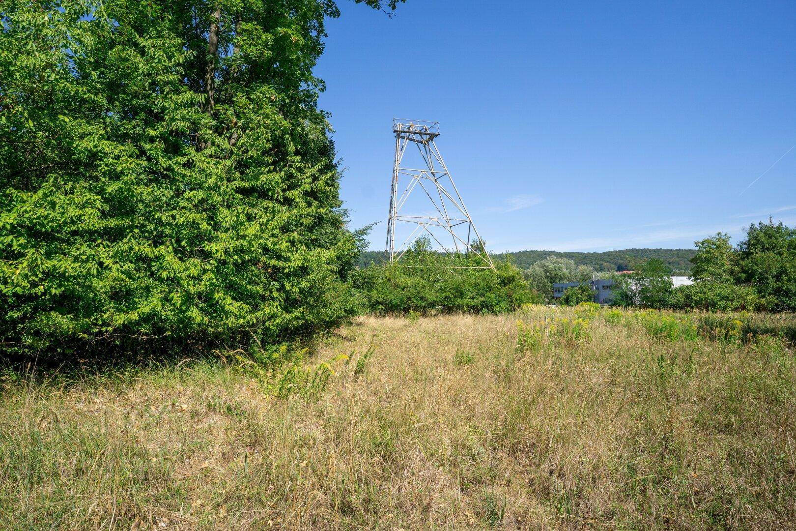 Blick vom Boden auf eine Wiese mit einem Metallturm im Hintergrund, umgeben von üppigem Grün.