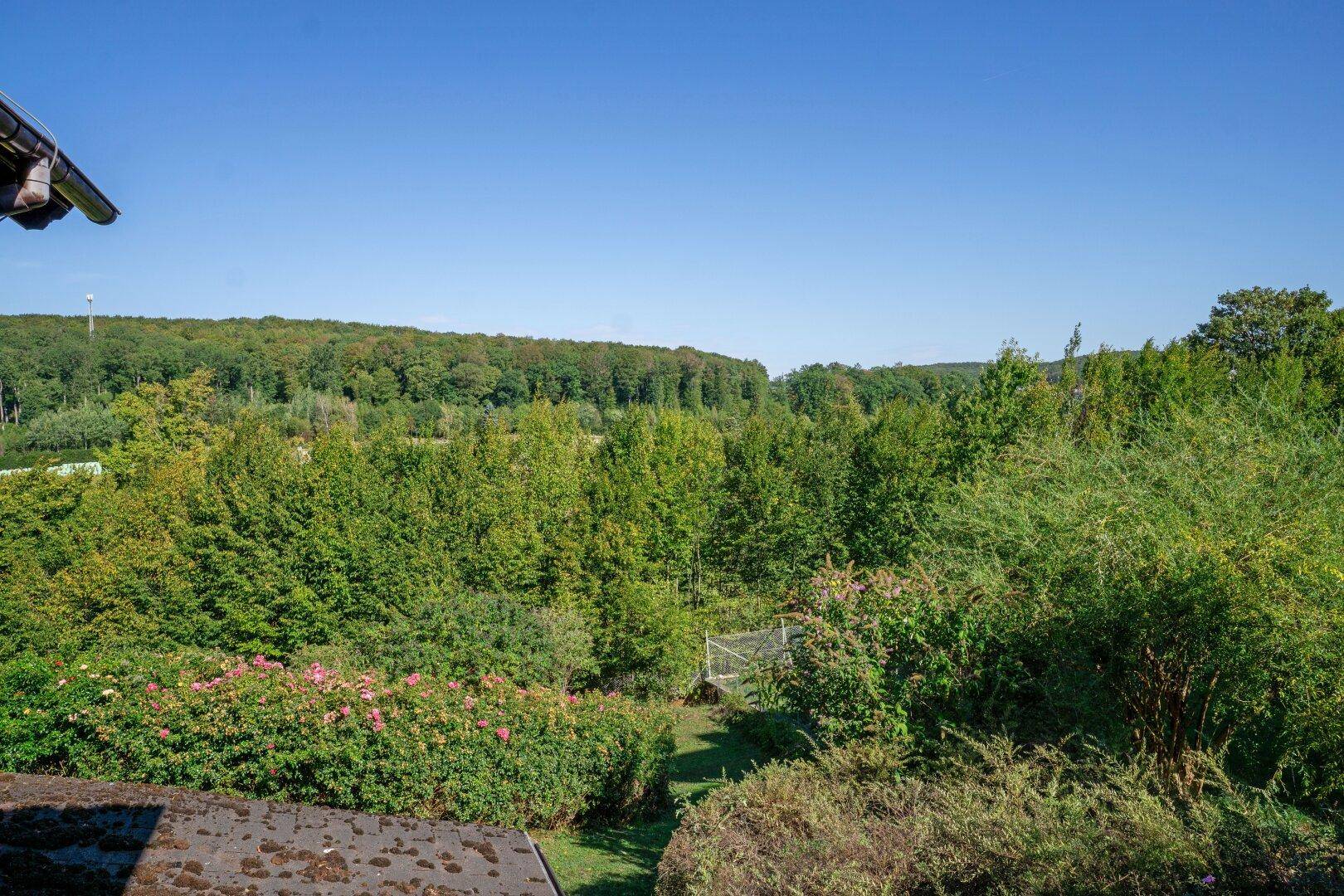 Weitläufiger Blick über grüne Wälder und die umliegende Landschaft unter einem strahlend blauen Himmel.