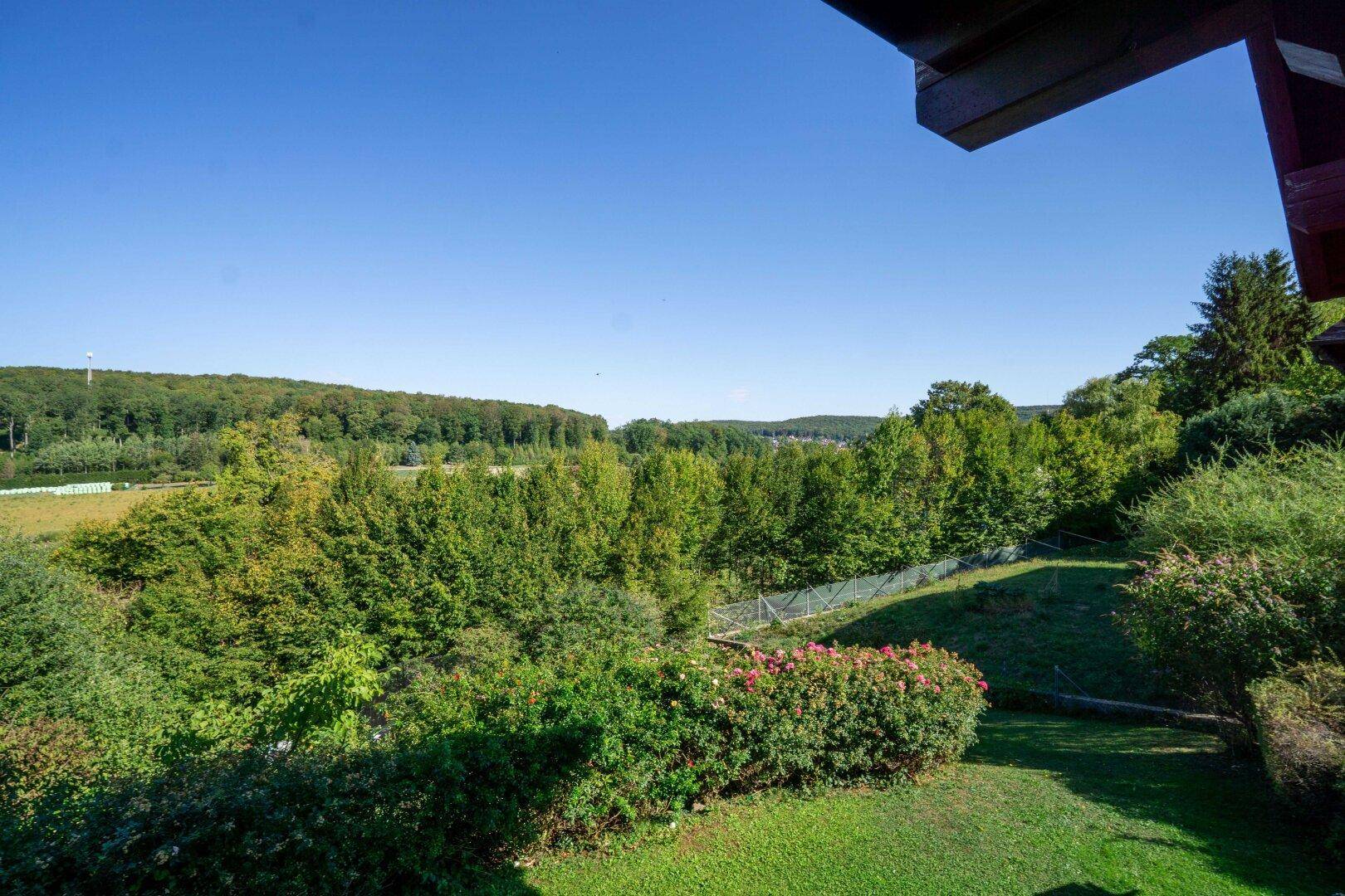 Weitläufiger Panoramablick über die grüne Landschaft und Wälder unter strahlend blauem Himmel.