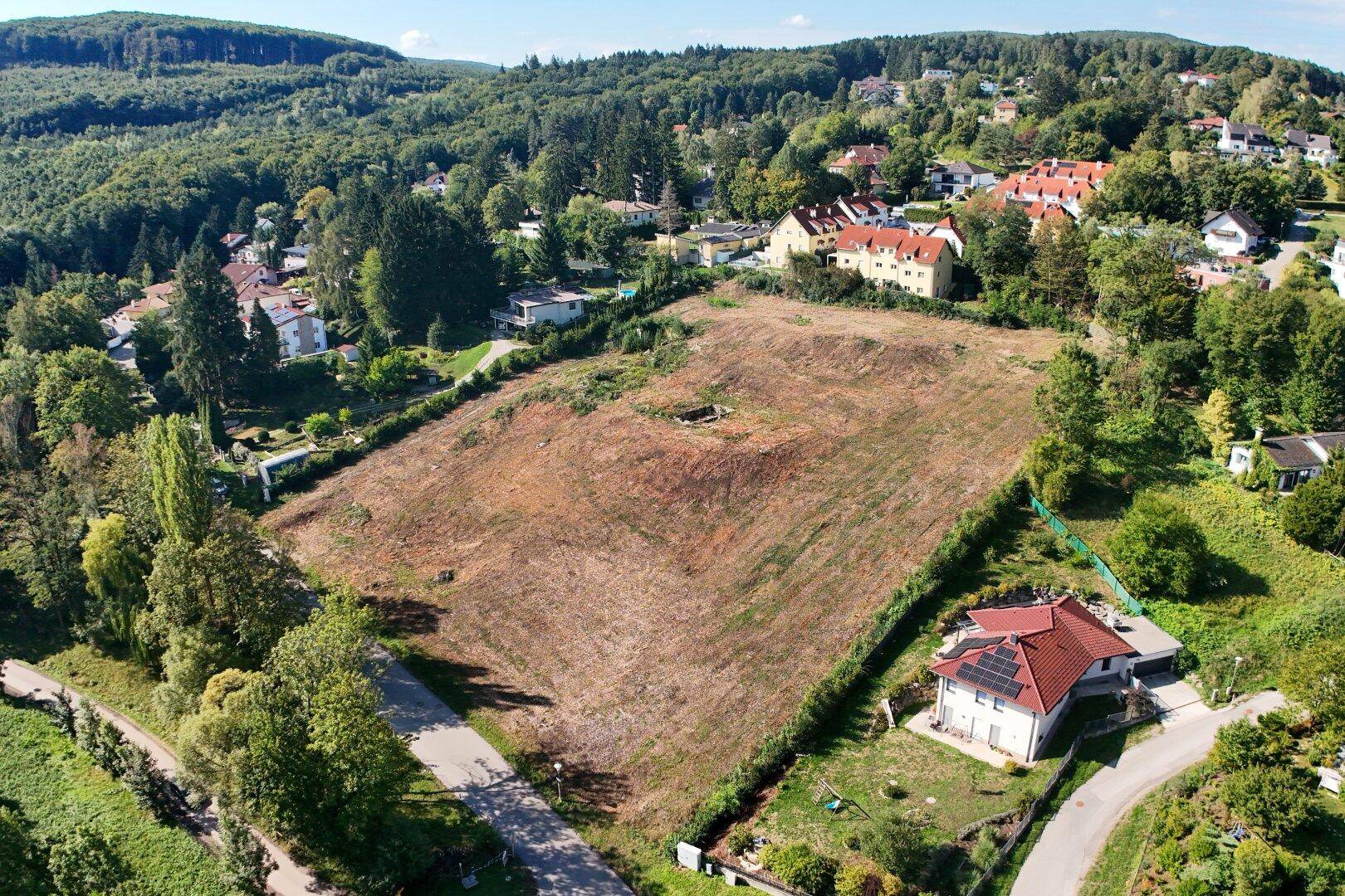 Luftaufnahme eines großen, gerodeten Grundstücks, umgeben von Bäumen und Wohnhäusern.