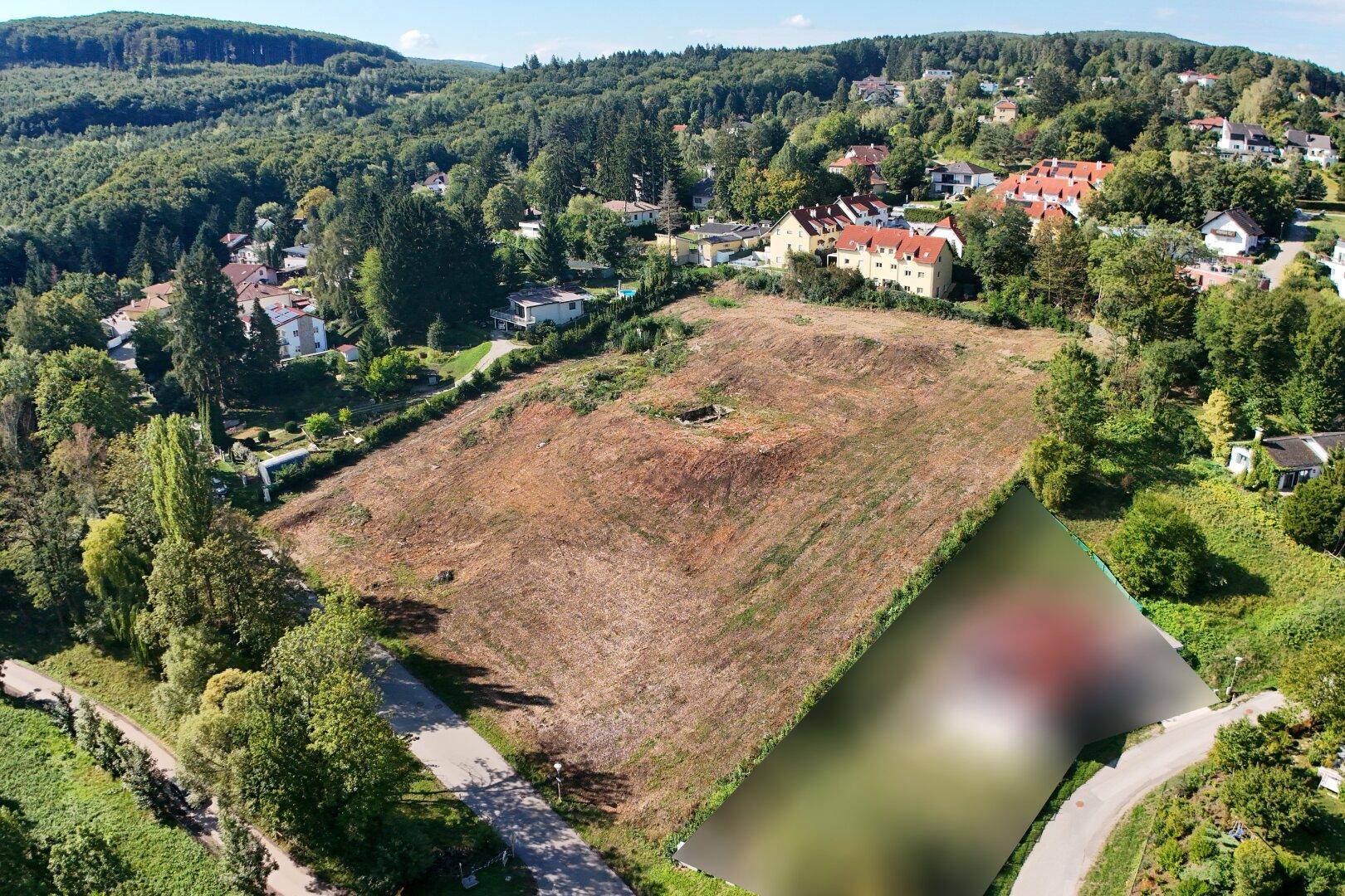 Großes, gerodetes Grundstück in einer Wohngegend, umgeben von Bäumen und Häusern.