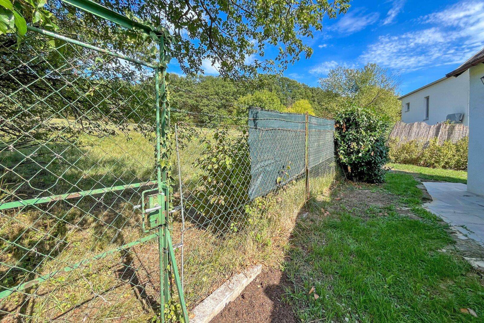 Grüner Zaun grenzt an eine weite Wiese mit Wald im Hintergrund unter blauem Himmel.