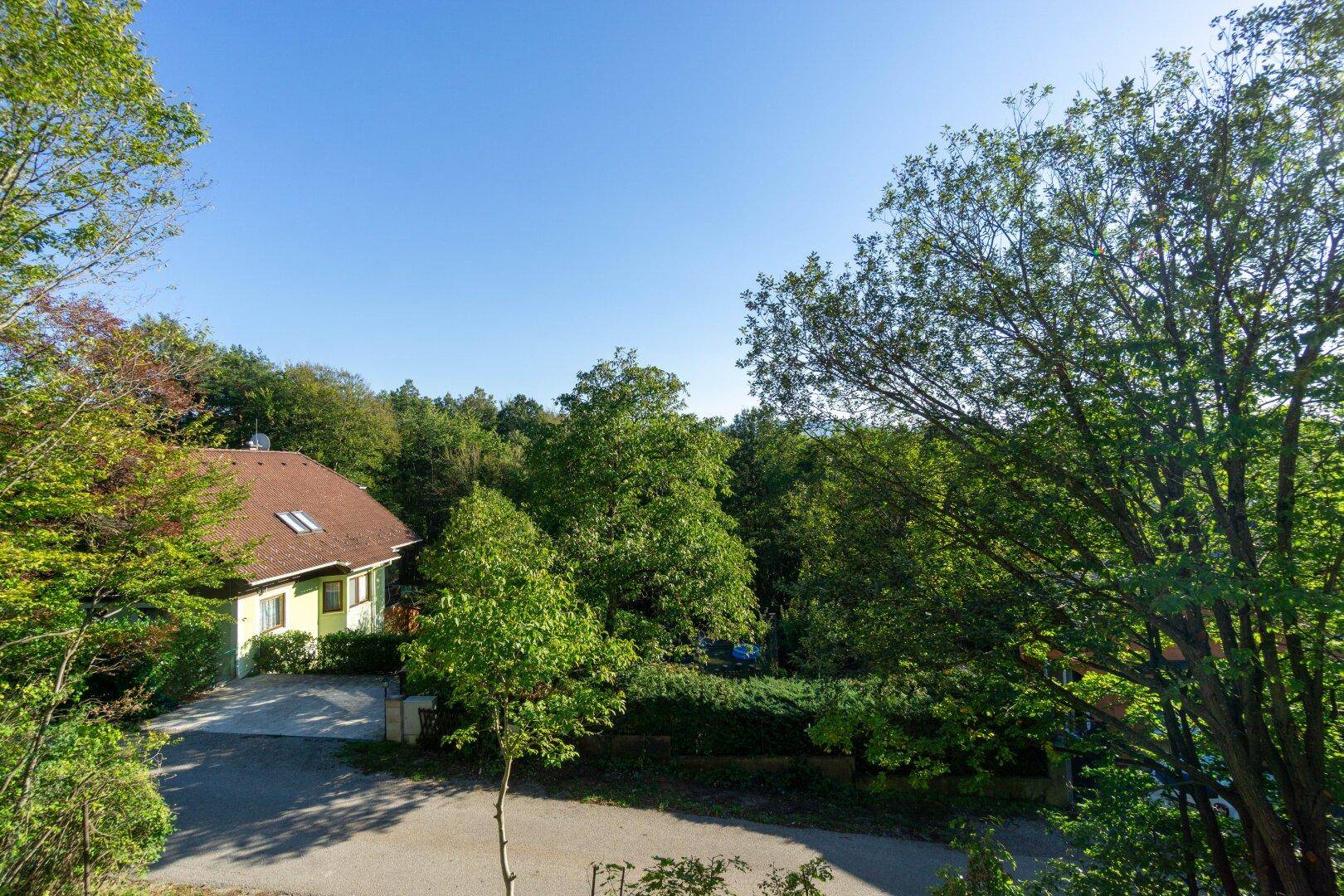 Ausblick vom Dachgeschoß