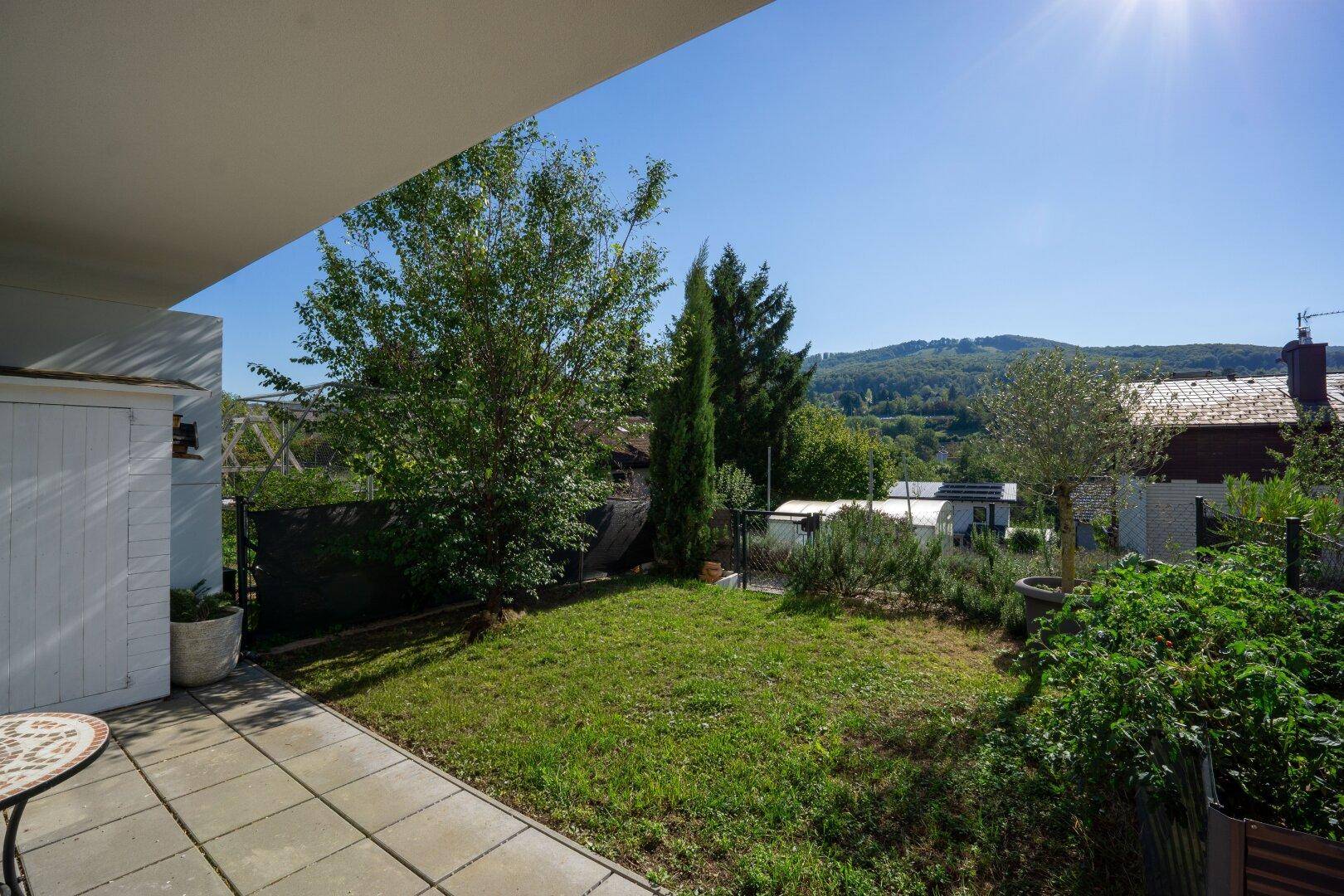 Gepflegter Gartenbereich mit Rasenfläche, Bäumen und einer kleinen Terrasse.