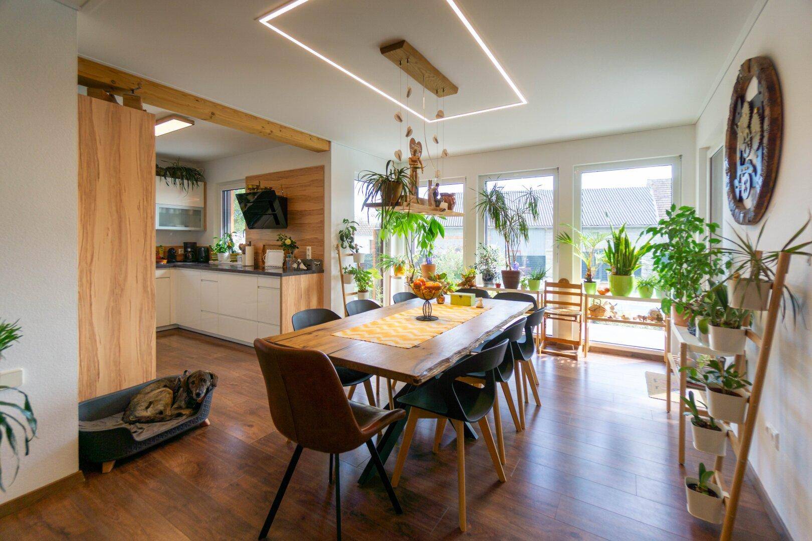 Heller offener Essbereich mit Holztisch, vielen Pflanzen und Blick in die moderne Küche.