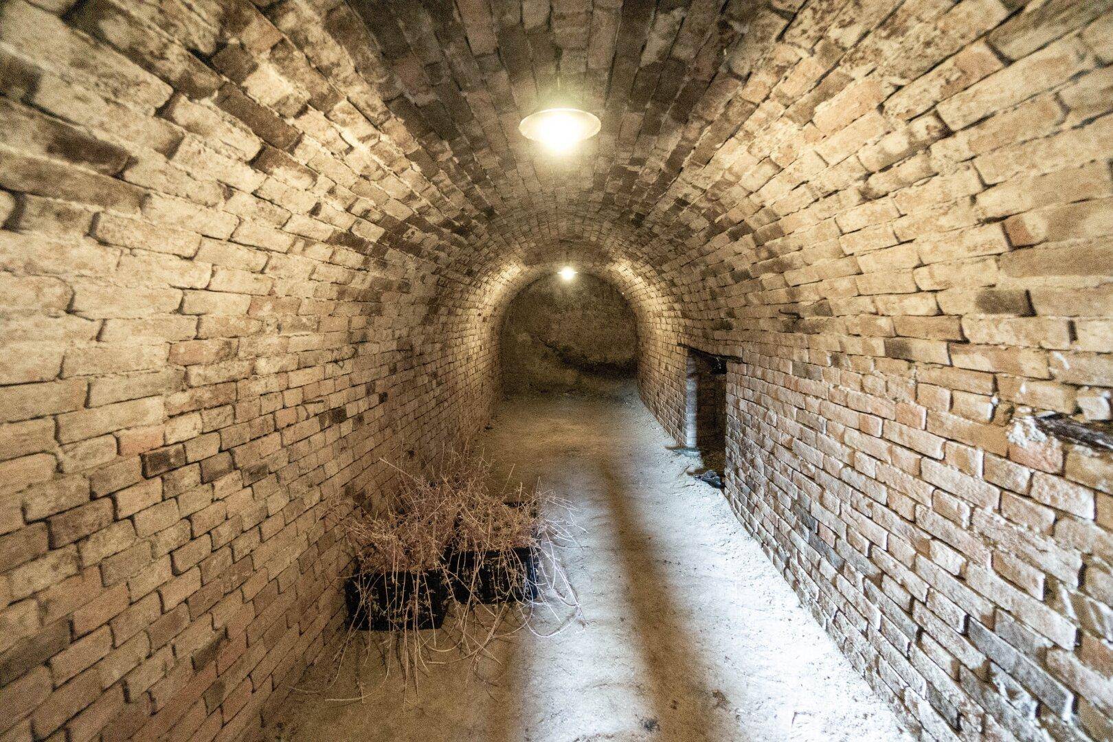 Historischer Gewölbekeller mit Ziegelwänden, ideal zur Lagerung von Wein oder Vorräten.