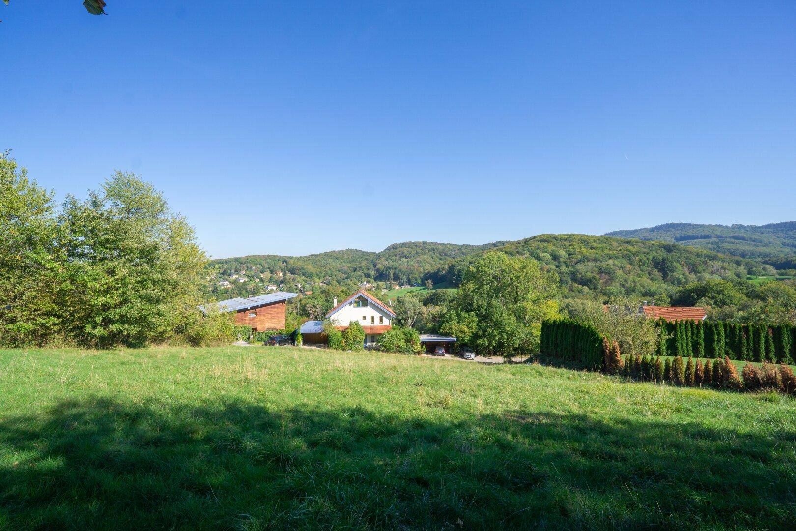 Idyllische Landschaft mit grünen Wiesen, bewaldeten Hügeln und mehreren Wohnhäusern.
