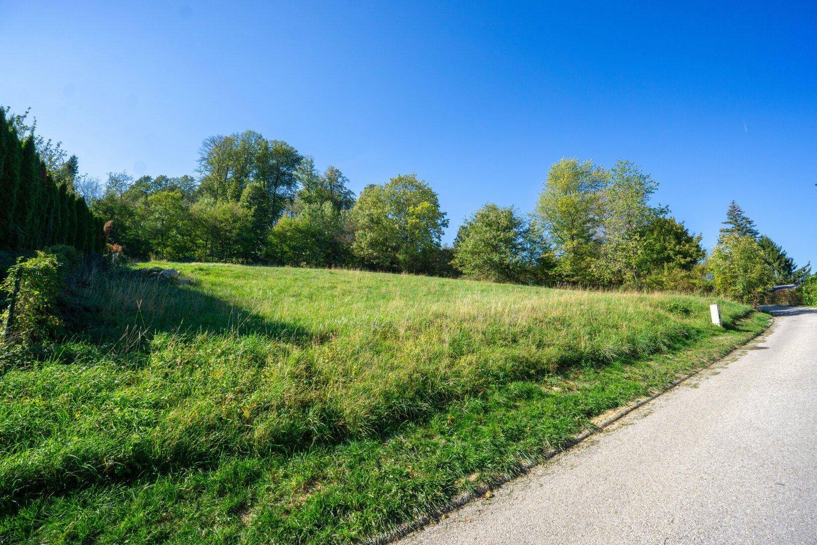 Grünes, unbebautes Grundstück mit leichter Neigung, angrenzend an eine ruhige Landstraße.