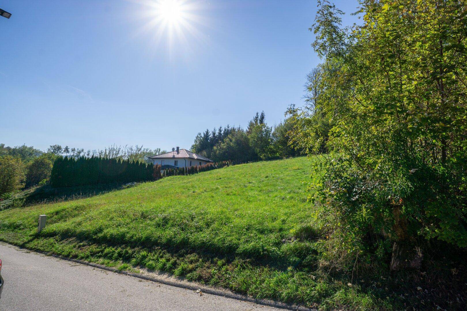 Grüner Hang neben einer Straße mit einem Haus und Wald im Hintergrund unter blauem Himmel.