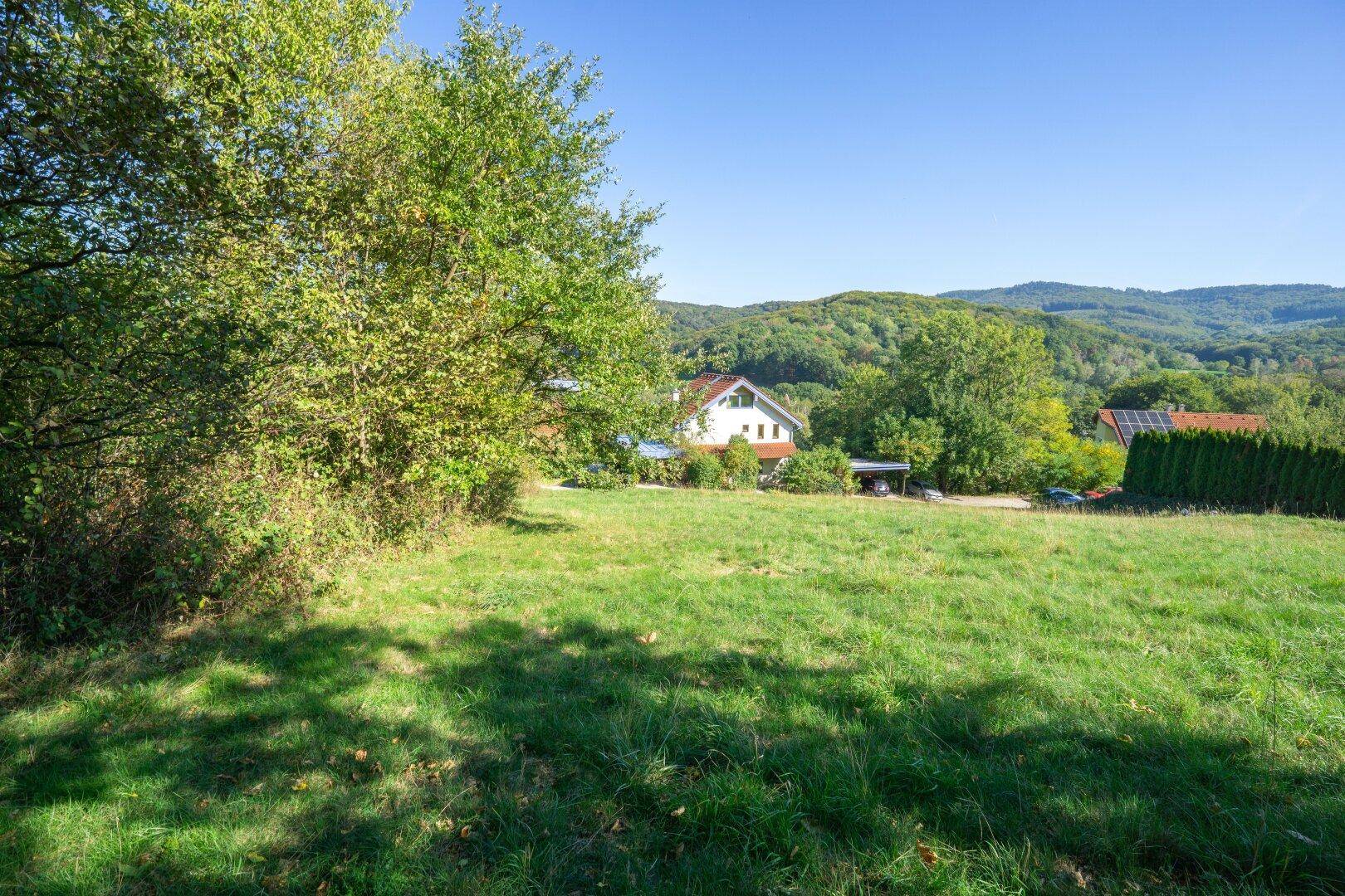Weite grüne Wiese mit einem Wohnhaus im Hintergrund, umgeben von üppiger Natur und Hügeln.