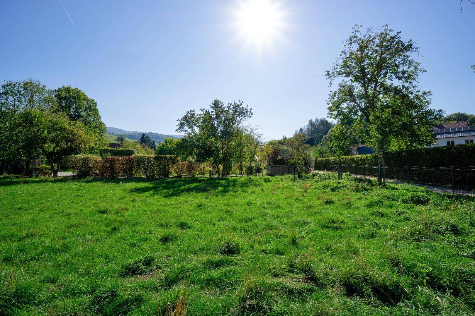 Sonnige, weitläufige Grünfläche mit Bäumen und Hecken, umgeben von ländlicher Landschaft.