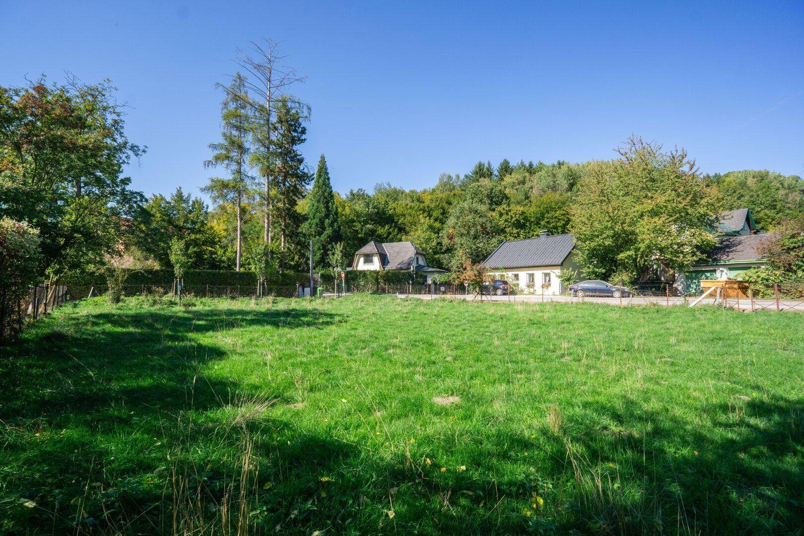 Große grüne Wiese mit Blick auf traditionelle Häuser und bewaldete Hügel in der Ferne.