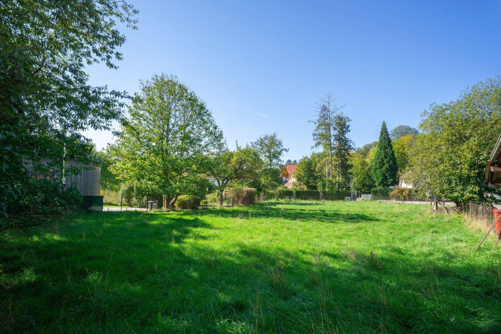 Weitläufige Rasenfläche mit altem Baumbestand und angrenzenden Gebäuden unter klarem Himmel.