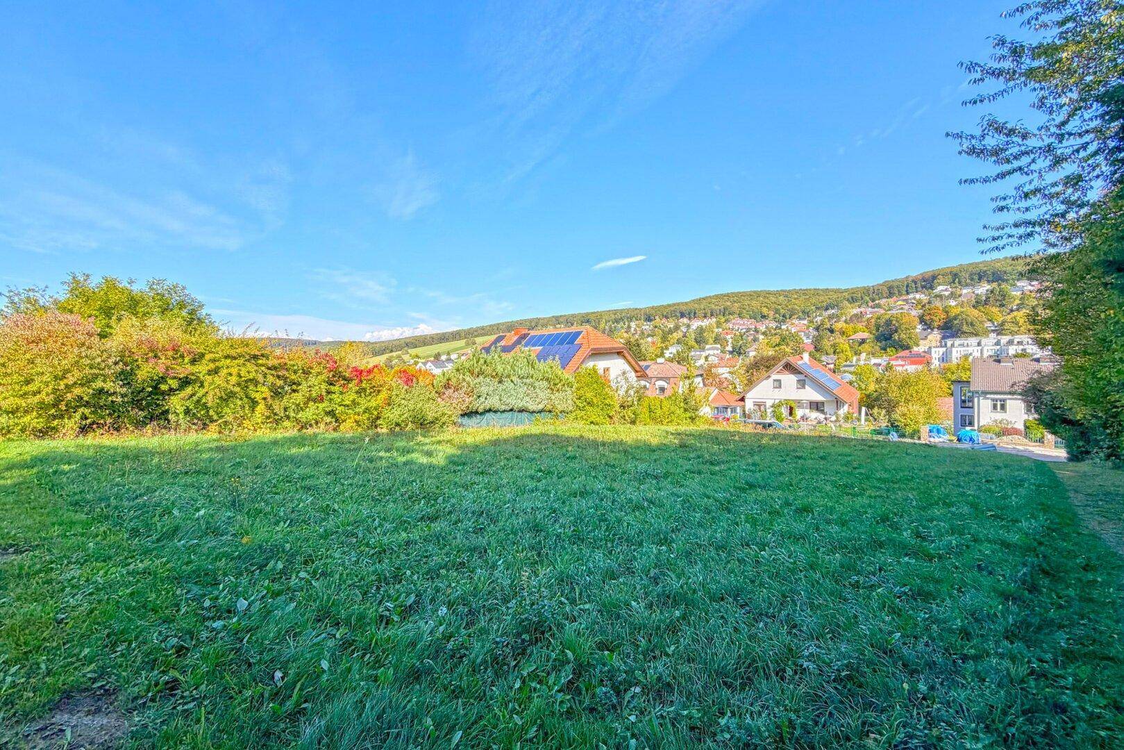 Blick über die grüne Wiese auf die umliegende Wohnbebauung und die bewaldeten Hügel in der Ferne.