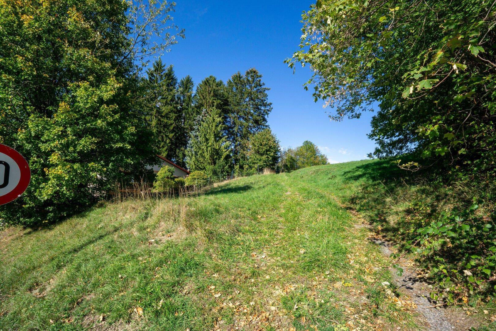 Grüner Feldweg mit Bäumen und einem Verkehrsschild am Rand unter blauem Himmel.